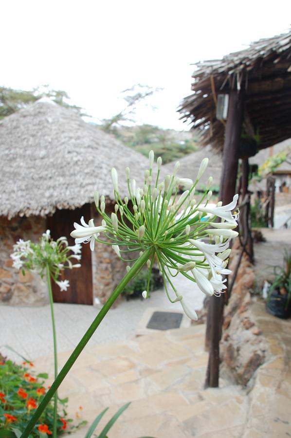 Osoita Lodge Nairobi Eksteriør billede