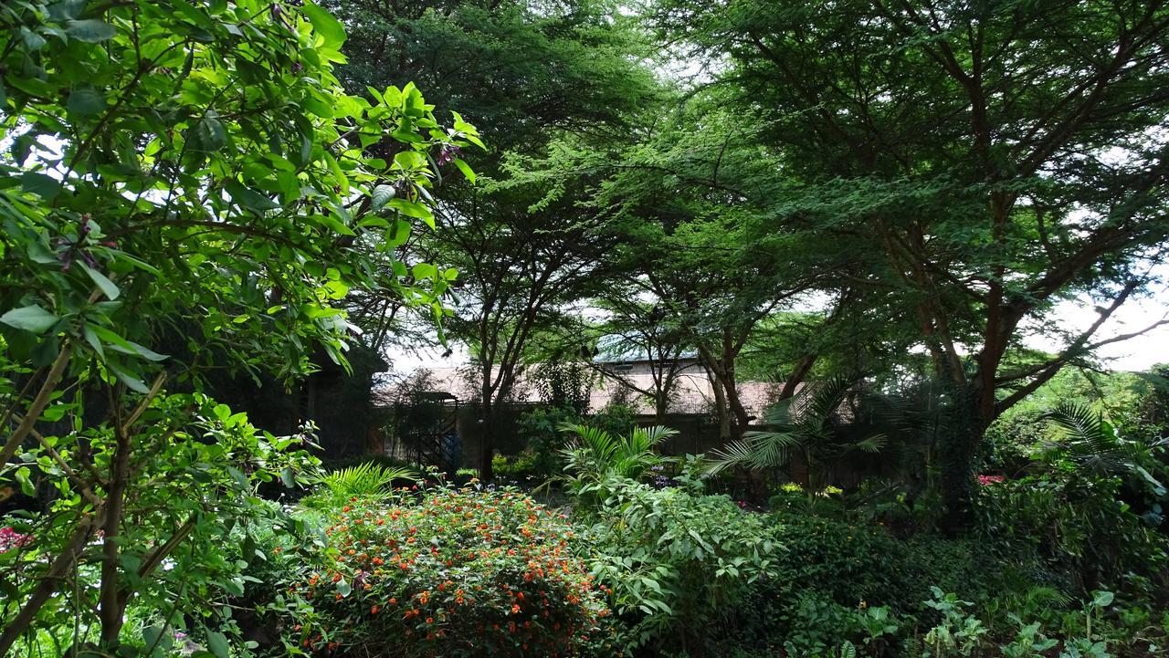 Osoita Lodge Nairobi Eksteriør billede